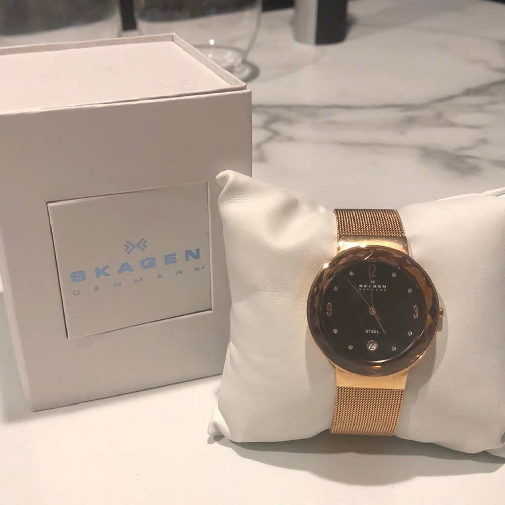 Skagen Watch
